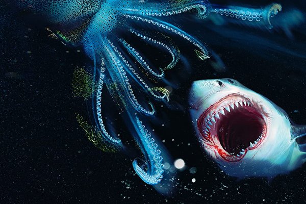Kraken 22at