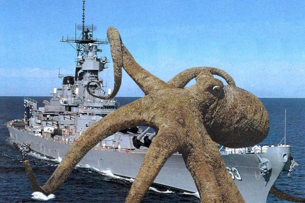 Kraken official