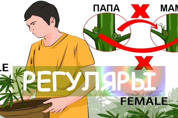 Кракен зеркало store