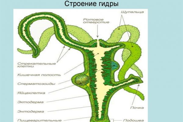 Кракен наркоман