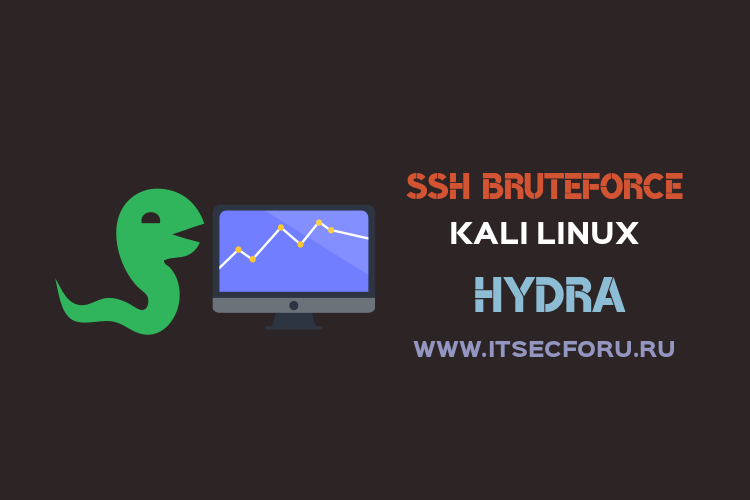 Kraken marketplace